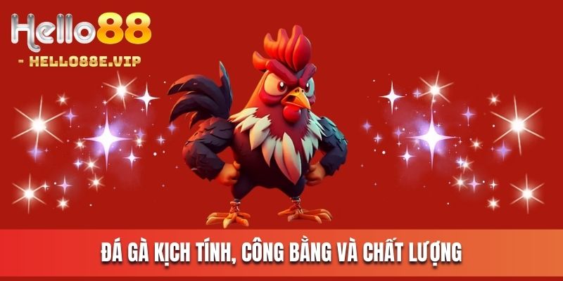 Hello88 COM - Trang Chủ Trực Tuyến | Đăng Ký Nhận 88K Online 14 Đá gà kịch tính, công bằng và chất lượng